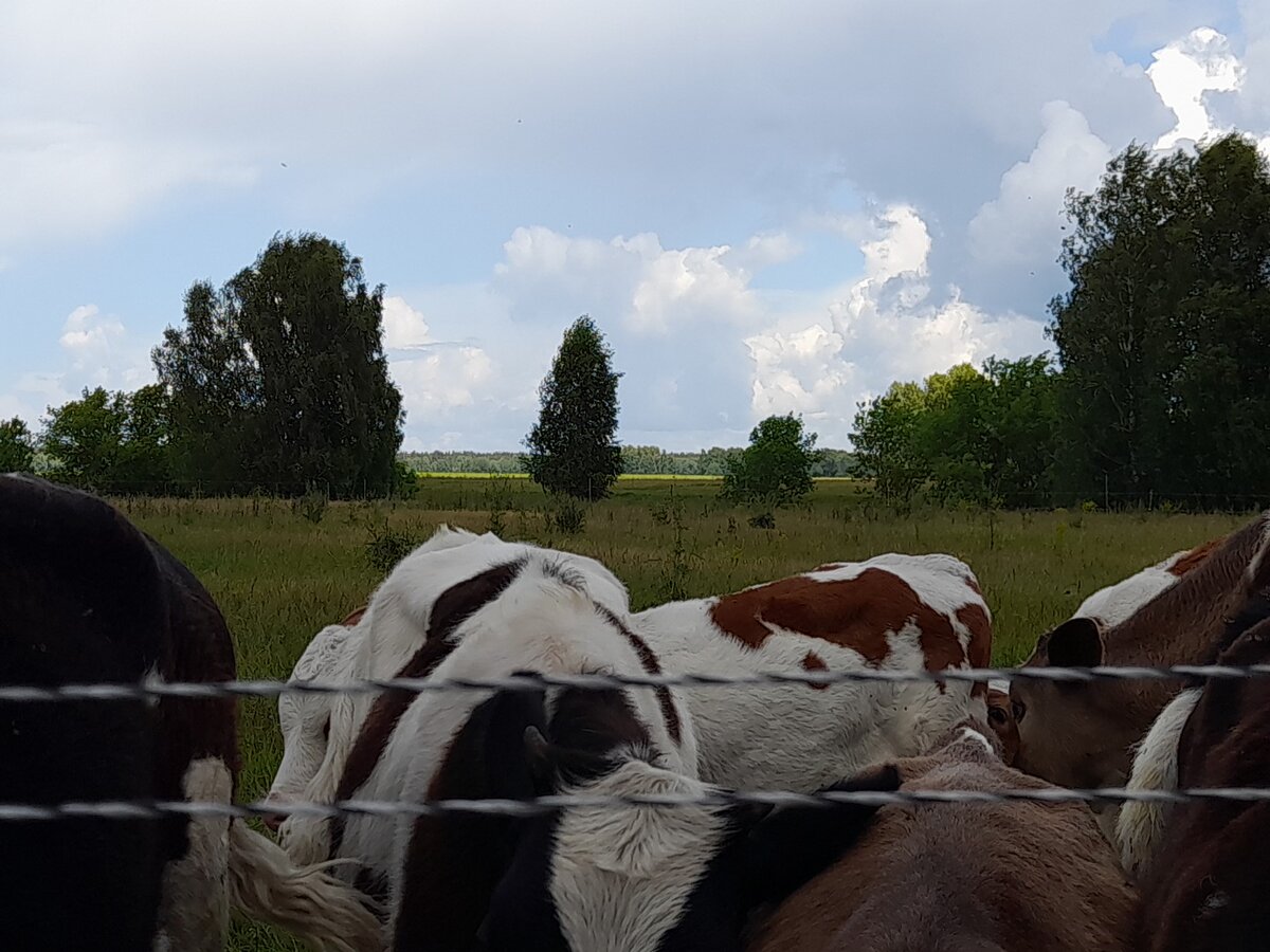 на заднем плане красота
