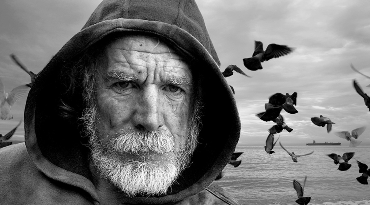 фото взяты с яндекс.картинки