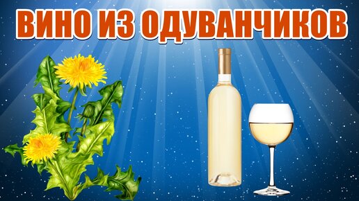 Целебный нектар из одуванчика