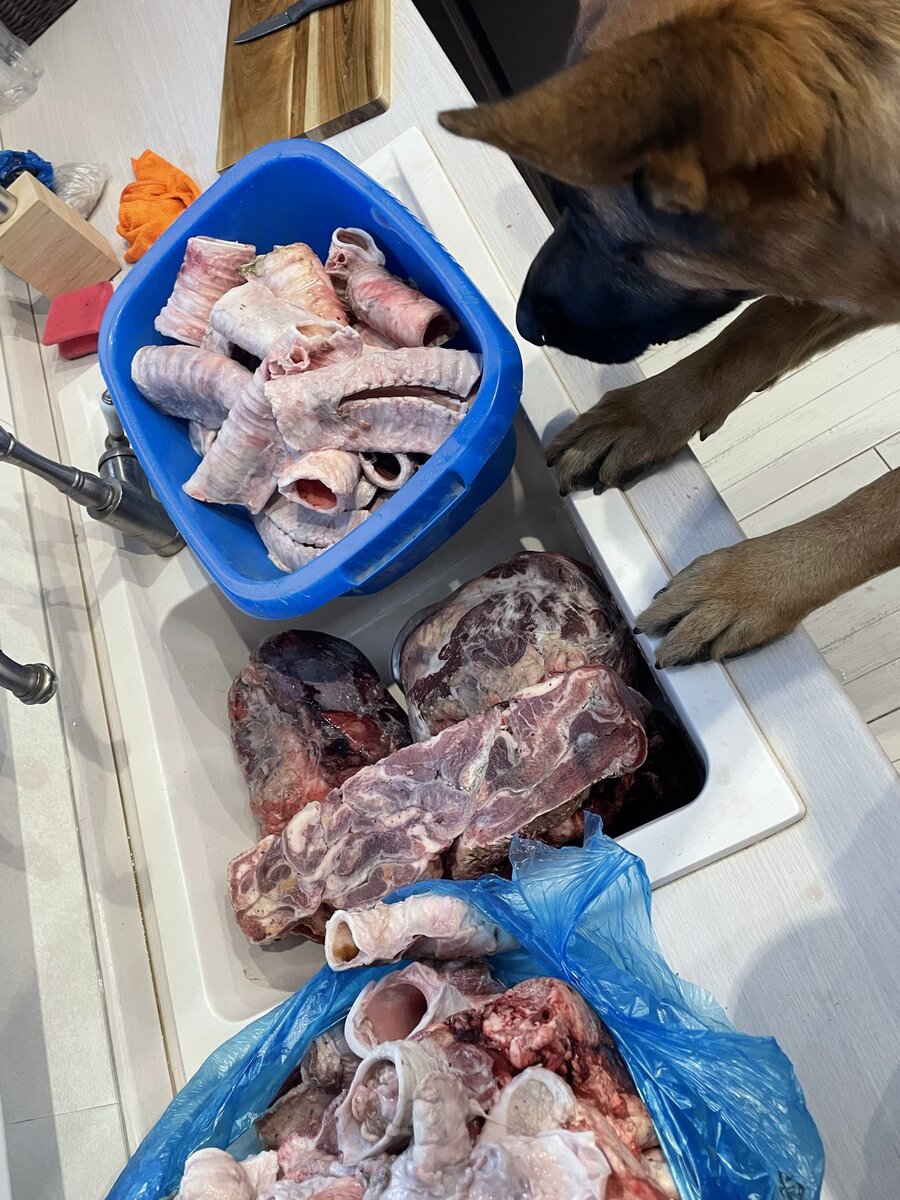 Расмус рассматривает ассортимент  