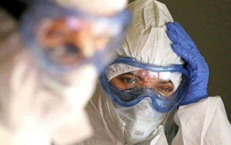 Вирус оспы обезьян найден в России. Как от него защититься?