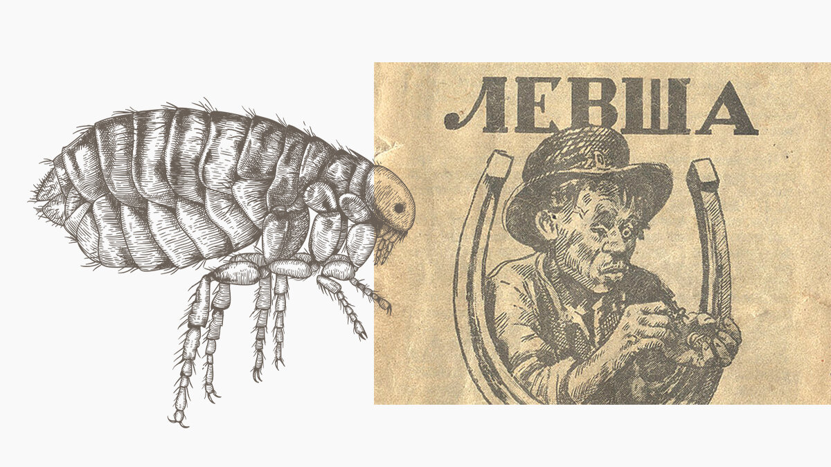 Слева: иллюстрация блохи. Справа: иллюстрация Георгия Савицкого к сказу «Левша» Н. С. Лескова. 