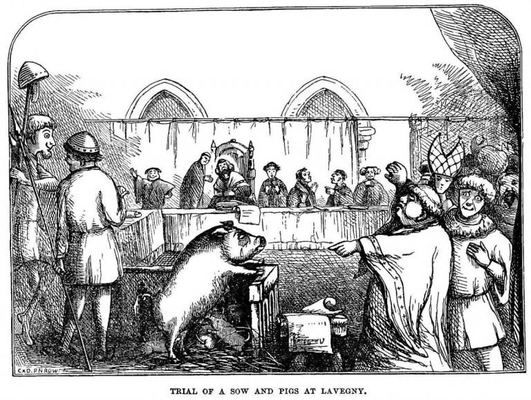 Рисунок с одного из судов над свиньями в коммуне Лавинье. Из книги The Book of Days (1863) https://archive.org/details/cu31924014604627/page/127/mode/1up?view=theater