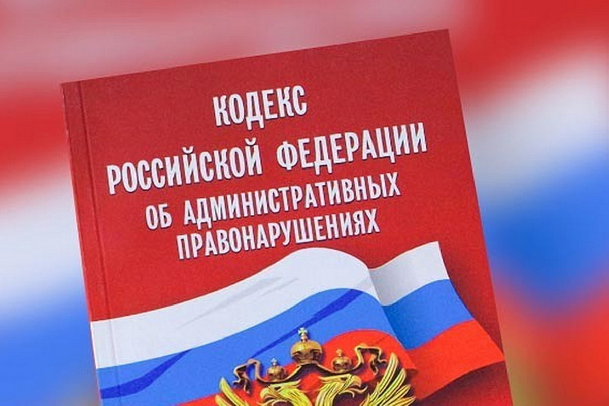 Коап картинки для презентации