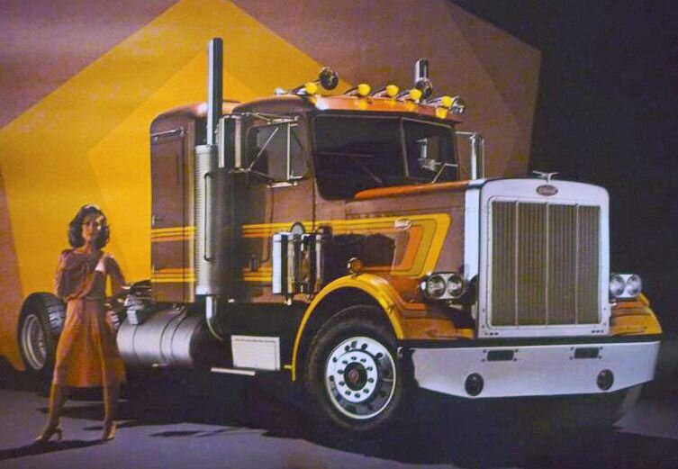 Peterbilt 359 v24