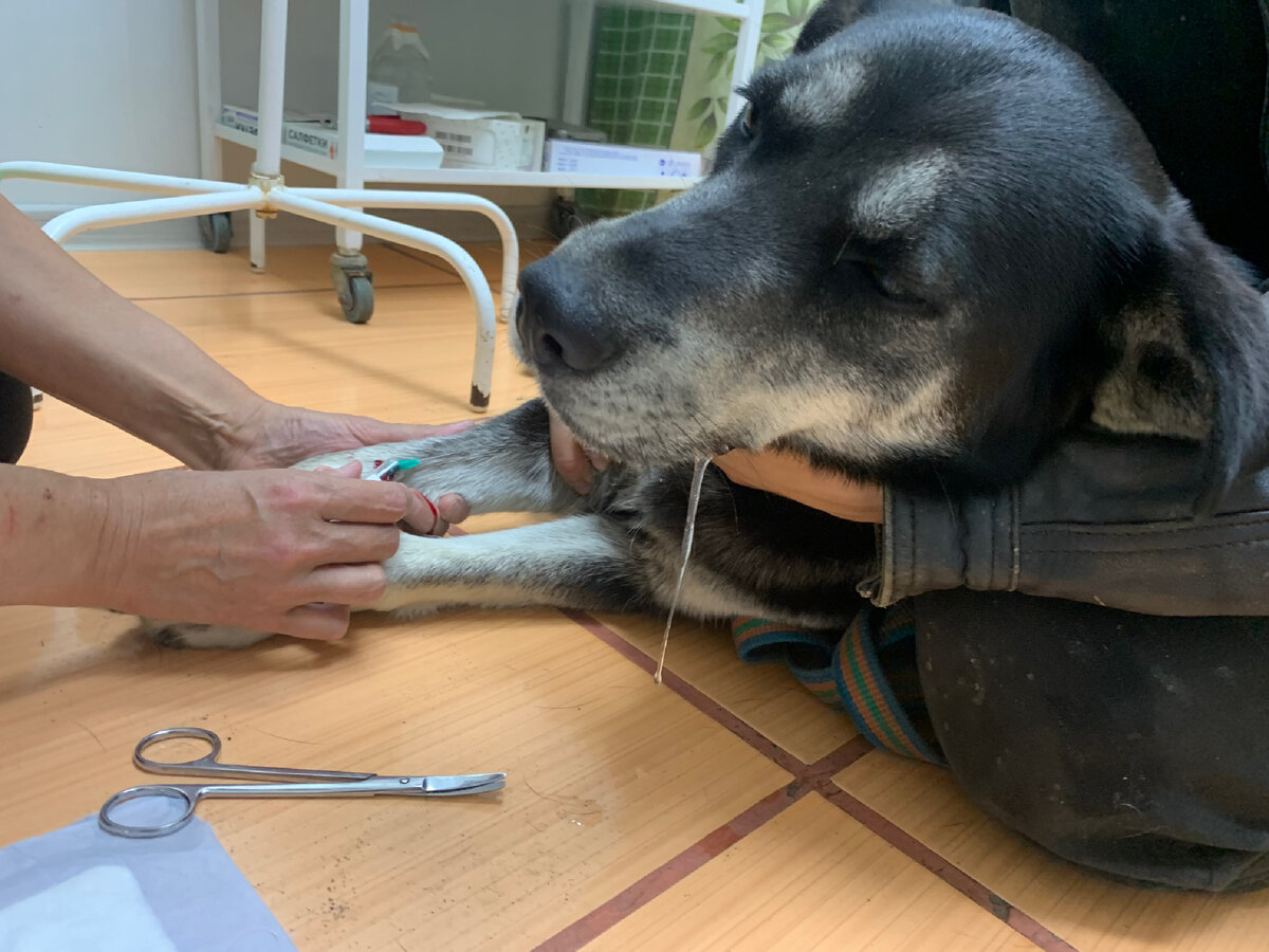 Ей нужна помощь! 