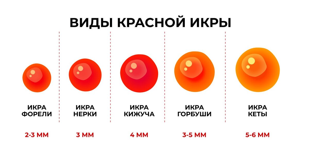 Виды красной икры. Размеры красной икры. Красная икра Размеры икринок. Красная икра по размеру икринок. Размер красной икры по видам.