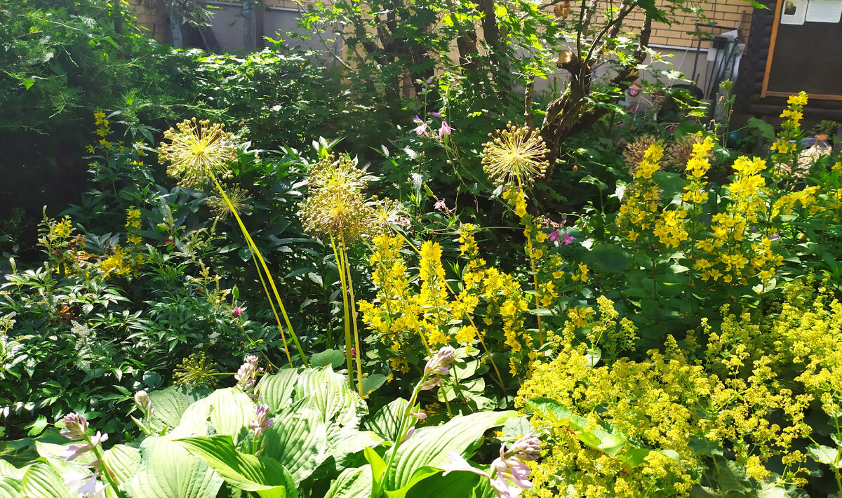 Всё фото автора статьи. 