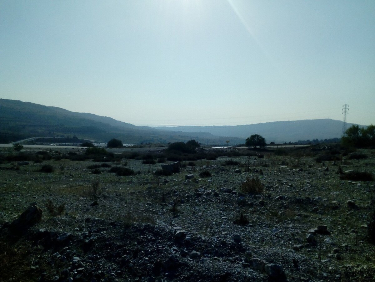 Местность возле города