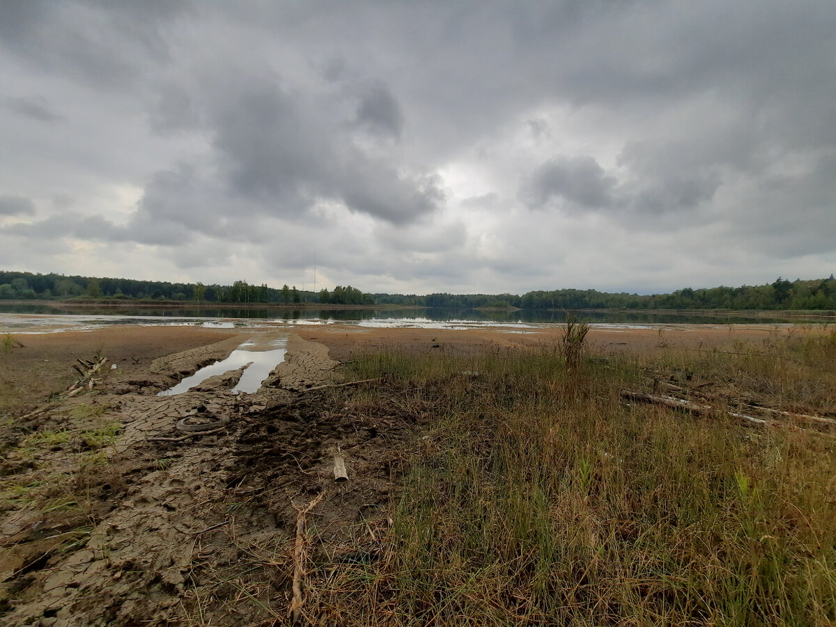 Впереди не земля, а топь. Бедное озеро.
Фото автора