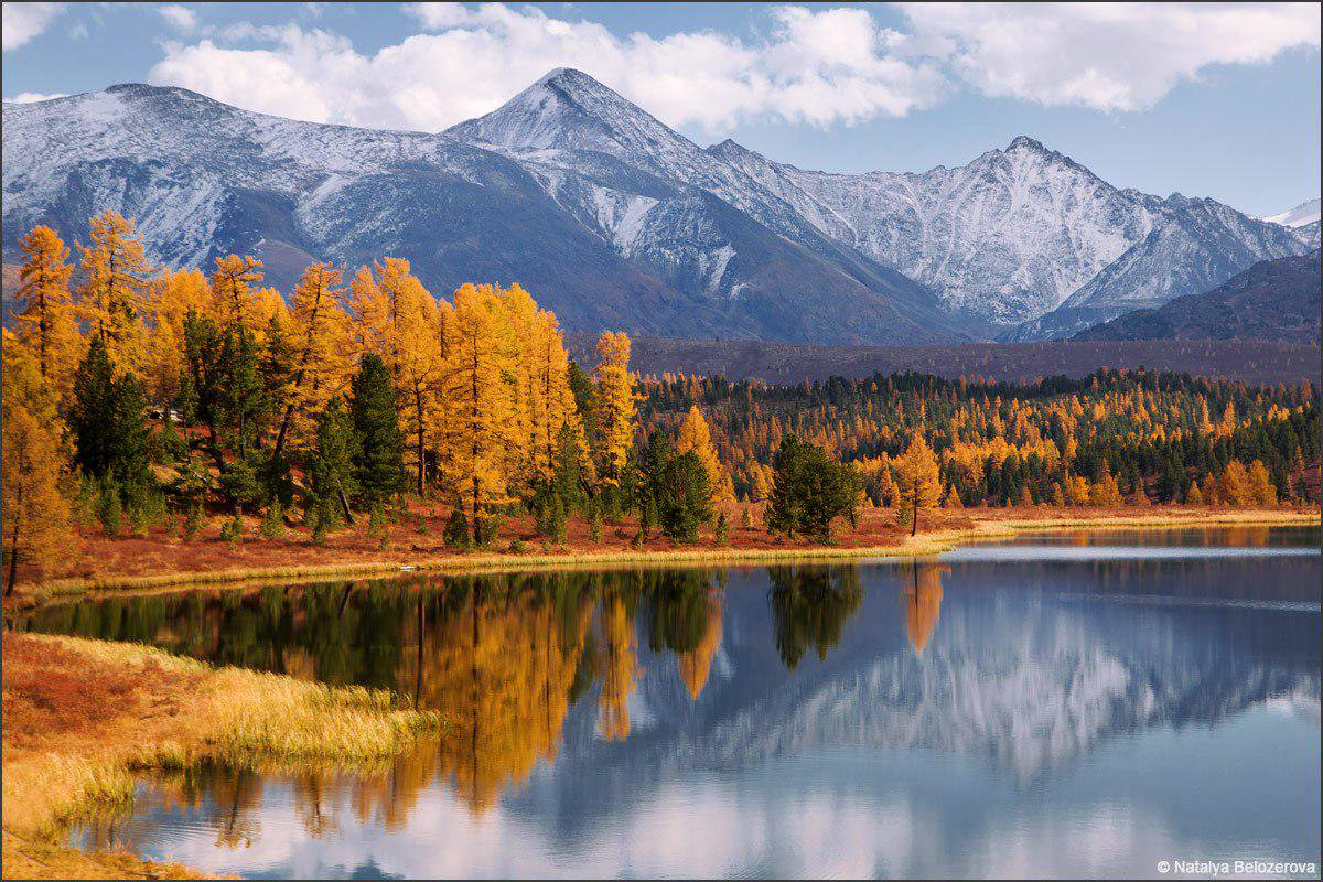 Алтай золотой край. Озеро Киделю. Киделю озеро Алтай. Золотые горы Алтая Телецкое озеро. Телецкое озеро осень.