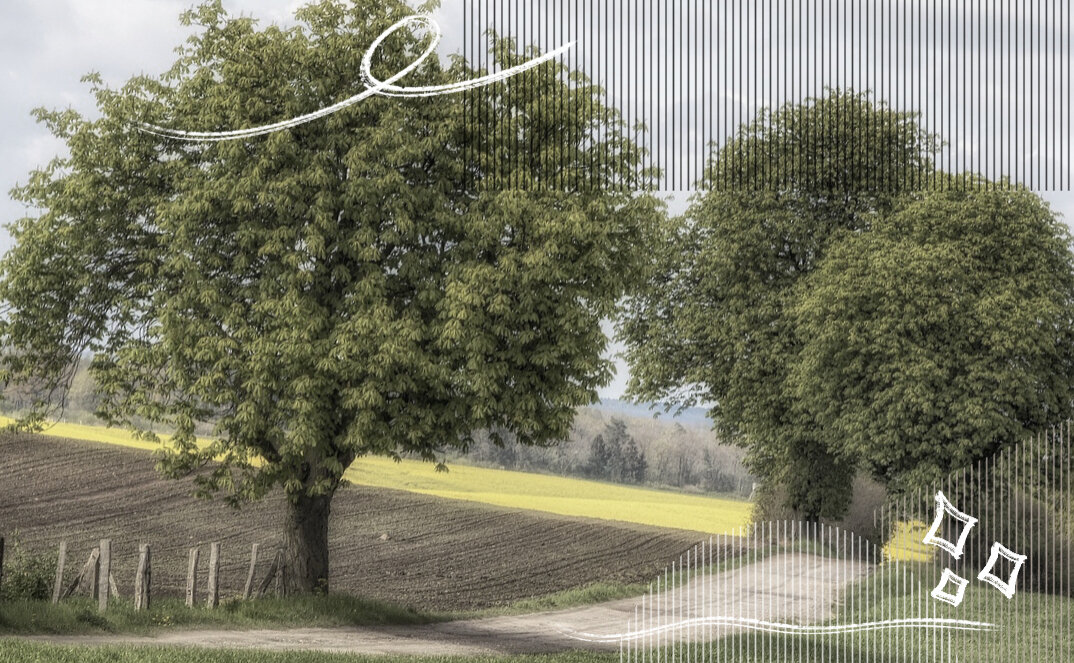 Марусины зарисовки в тихом посёлке. Часть третья