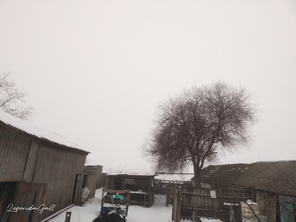 Горы отсутствуют