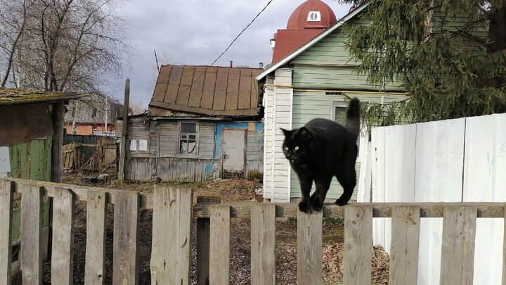 ФОТО: КСЕНИЯ ДУДАРЕВА/ЦАРЬГРАД