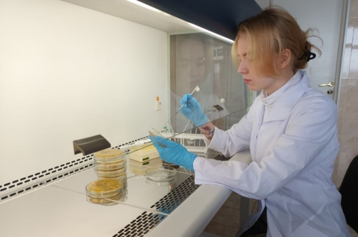    Никифорова: Мобилизация научных сил – необходимая и очень важная мера