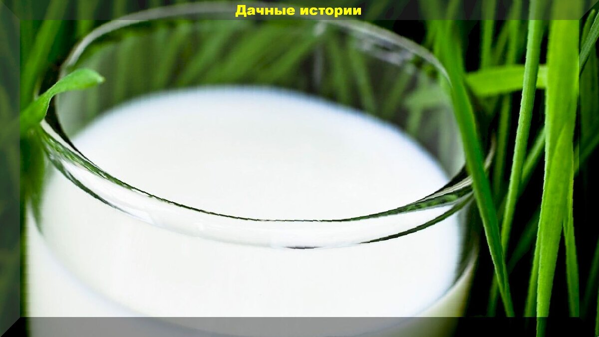 https://vk.com/photo-159774511_457246823
