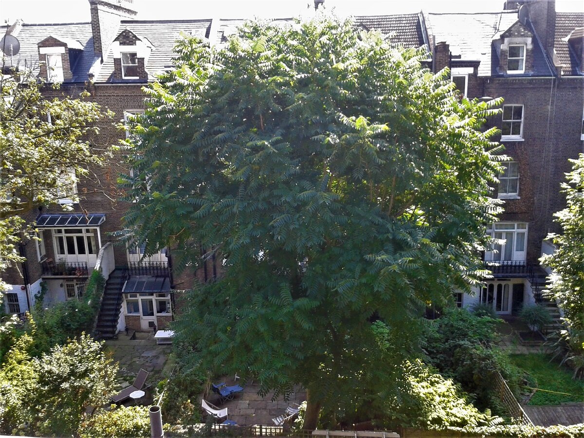 Из дома напротив всегда видно, что происходит во дворе соседнего дома