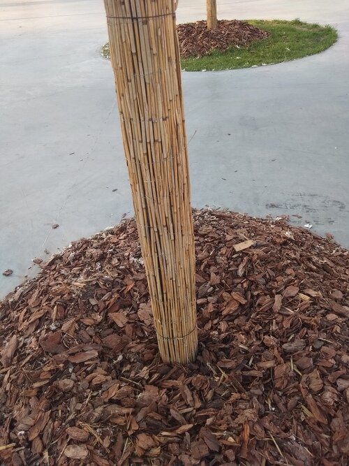 Тростниковые маты