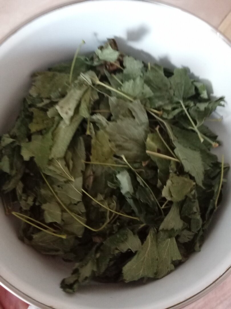 Листья смородины готовые к заварке. 