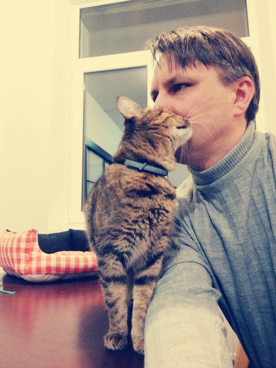 Я копирайтер, а еще пишу бесплатно тексты для котоспасателей и сам спасаю бездомных кошек. А это моя Ася