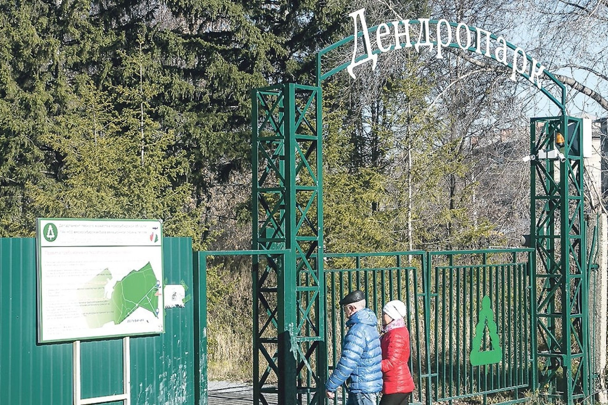 Парк дендропарк Новосибирск. Новосибирский Дендрарий. Дендрологический парк Новосибирск зимой. Краснообский дендропарк.