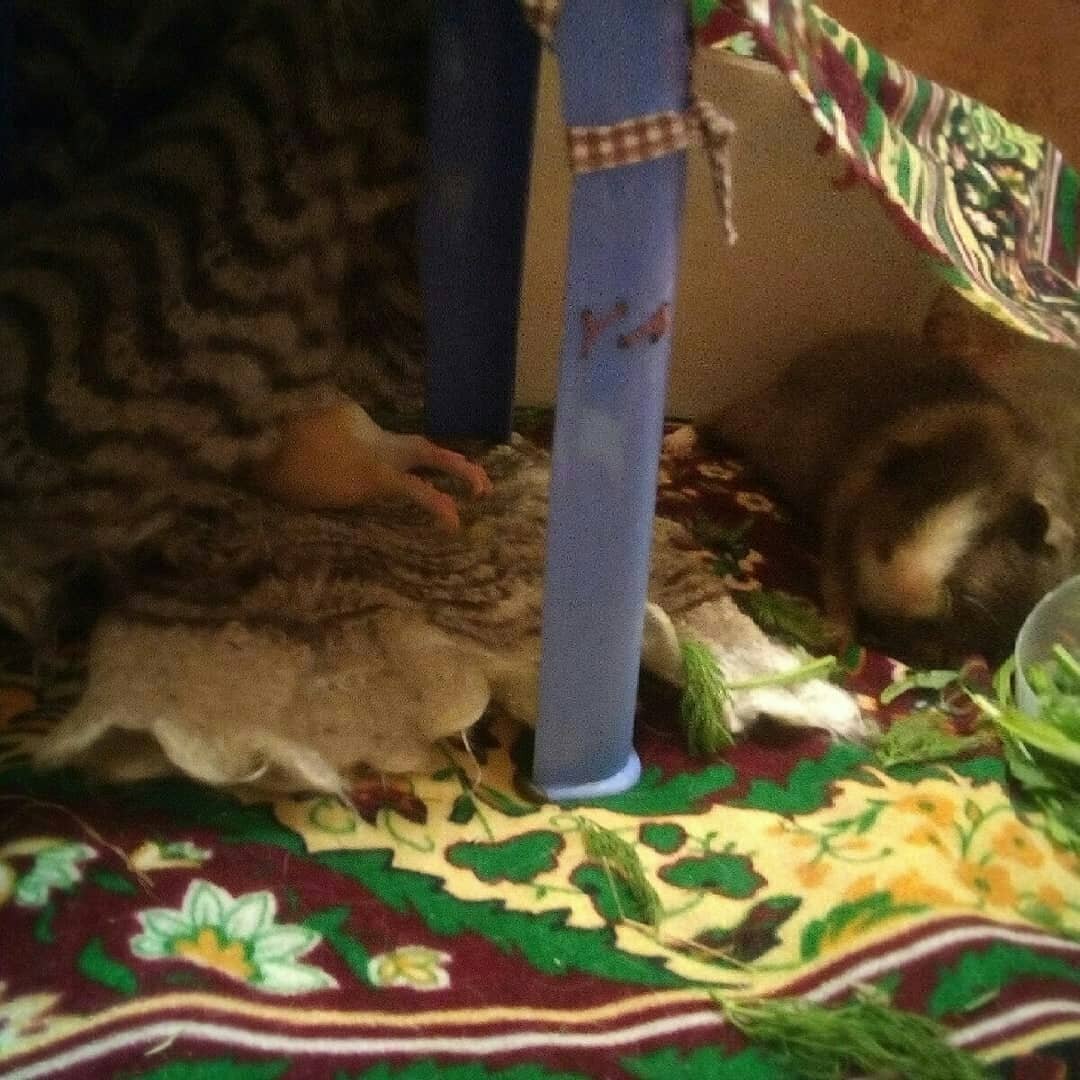 Найдите Веню😉