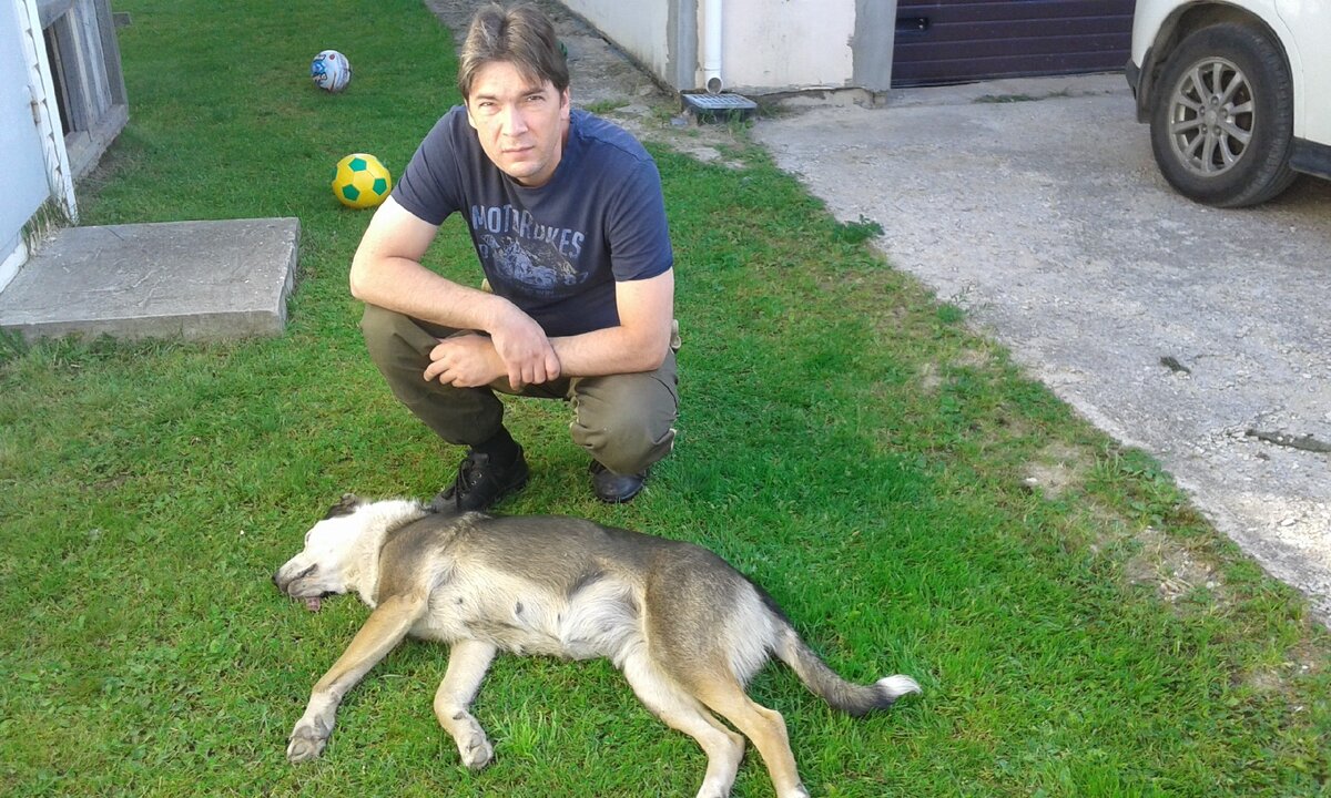 Собака на стерилизацию