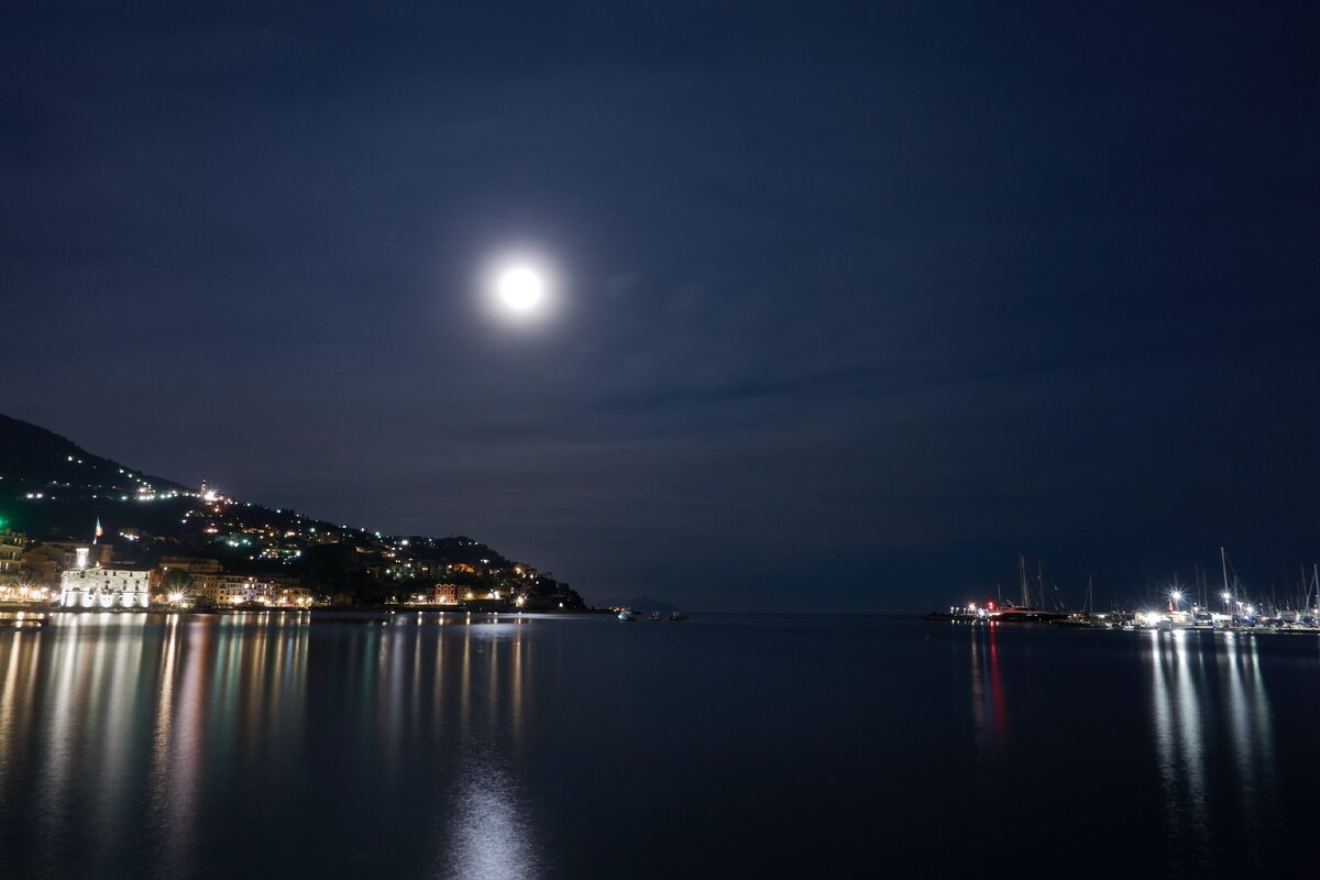 Photo by Wolfgang Hasselmann on Unsplash