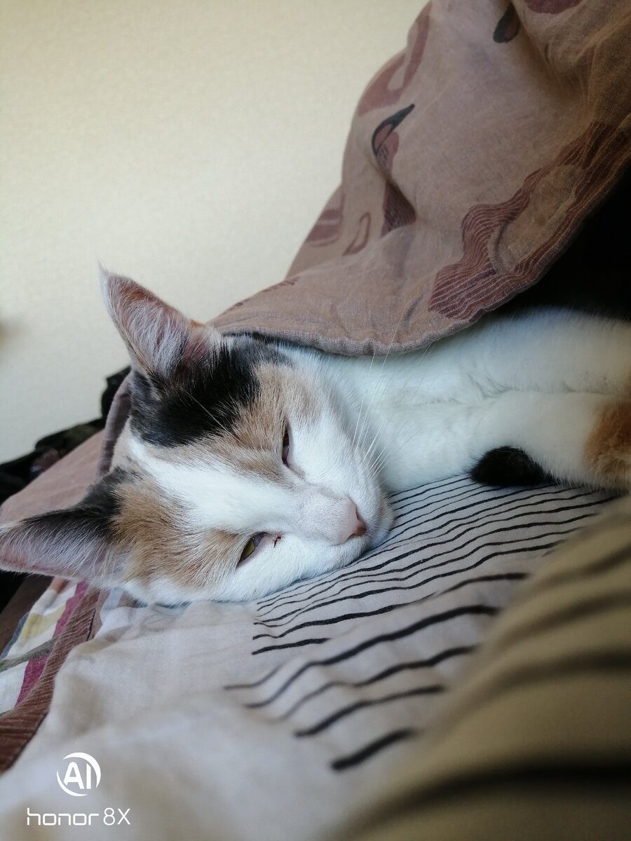 Личное фото. 