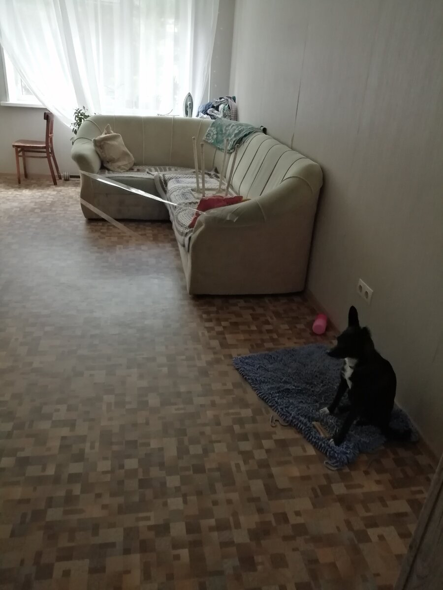 Попытка спасти диван 2