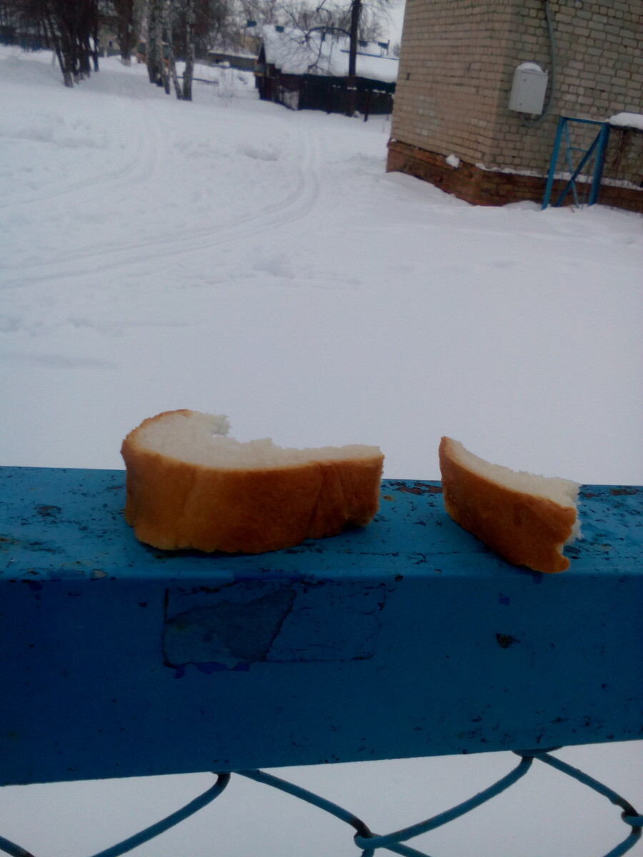 хлеб на заборе