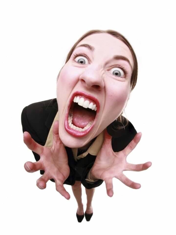 Примерно так, оказывается, реагирует львиная доля работающих женщин на домохозяек