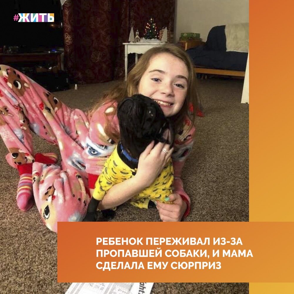 Сегодня мы хотим рассказать Вам одну трогательную и добрую историю о мальчике, его родителях и хвостатом сюрпризе, от которого ребёнок не смог сдержать слёз🙏 
На 12-й день рождения ребёнку подарили его лучшего четвероногого друга,с которыми они почти не расставались. Только вот беда - собака пропала😥

Вся семья безумно тосковала по собаке, особенно старшие дети😔

Родители разместили объявление в соцсетях и через некоторое время их питомец нашелся! Пока детей не было дома, собаку привезли и решили устроить сюрприз - мама взяла с собой  питомца встречать сына из школы и когда они наконец встретились, то мальчик просто не смог сдержать слез от счастья🙌

Не это ли настоящее чудо?😌

#жить #проектжить
