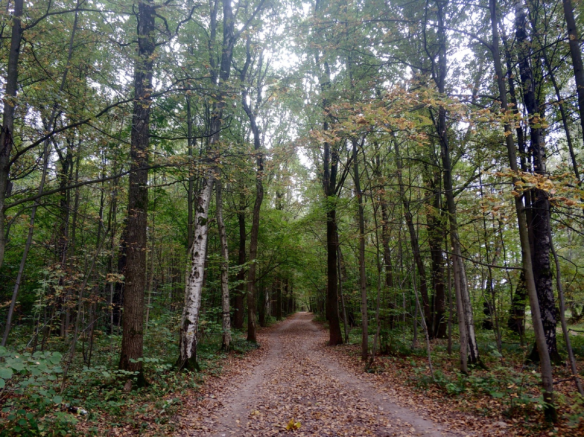 Наше общество заходит в новое, ранее неизведанное. И как раньше, в родной семье,  вместе выживать уже не получится. Нам в помощь новые формы взаимодействия, новые формы объединения