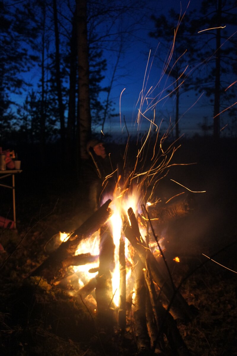 Ночь на берегу озера