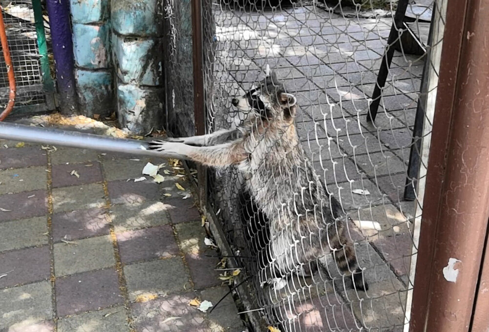 Фото из личного архива