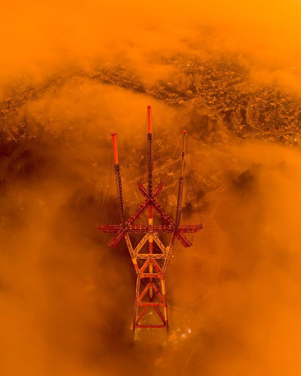 ФОТО: wavefr / instagram