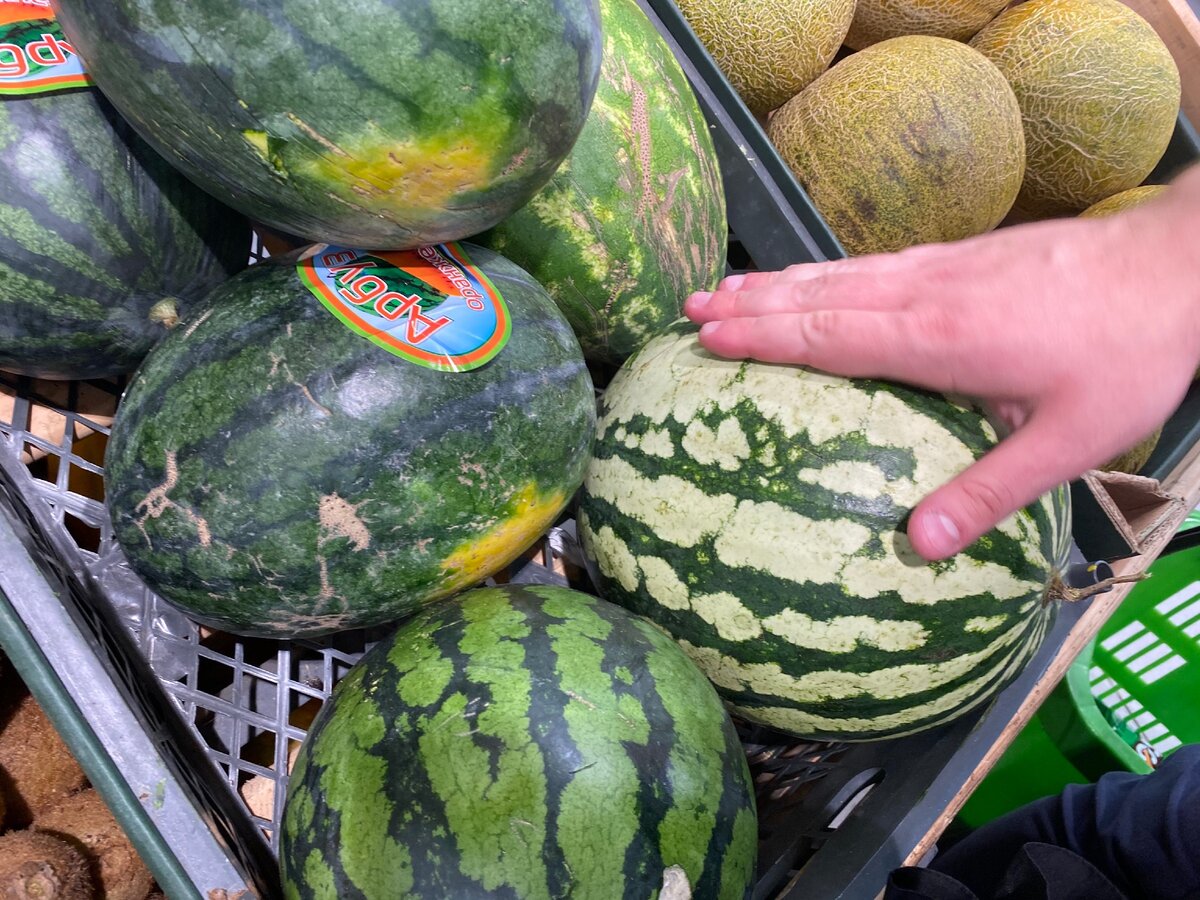 Чем отличается желтый арбуз