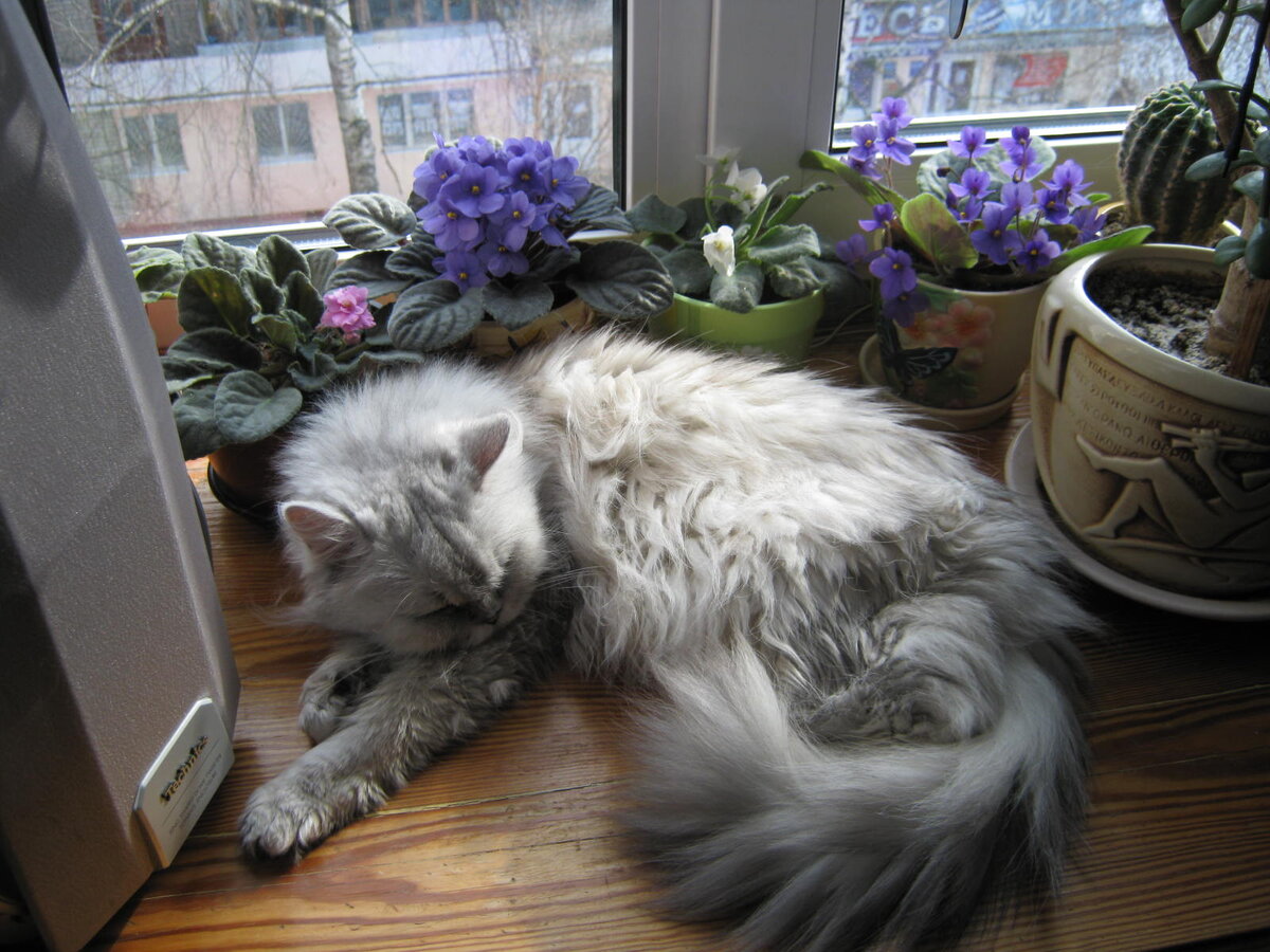 Любимое место