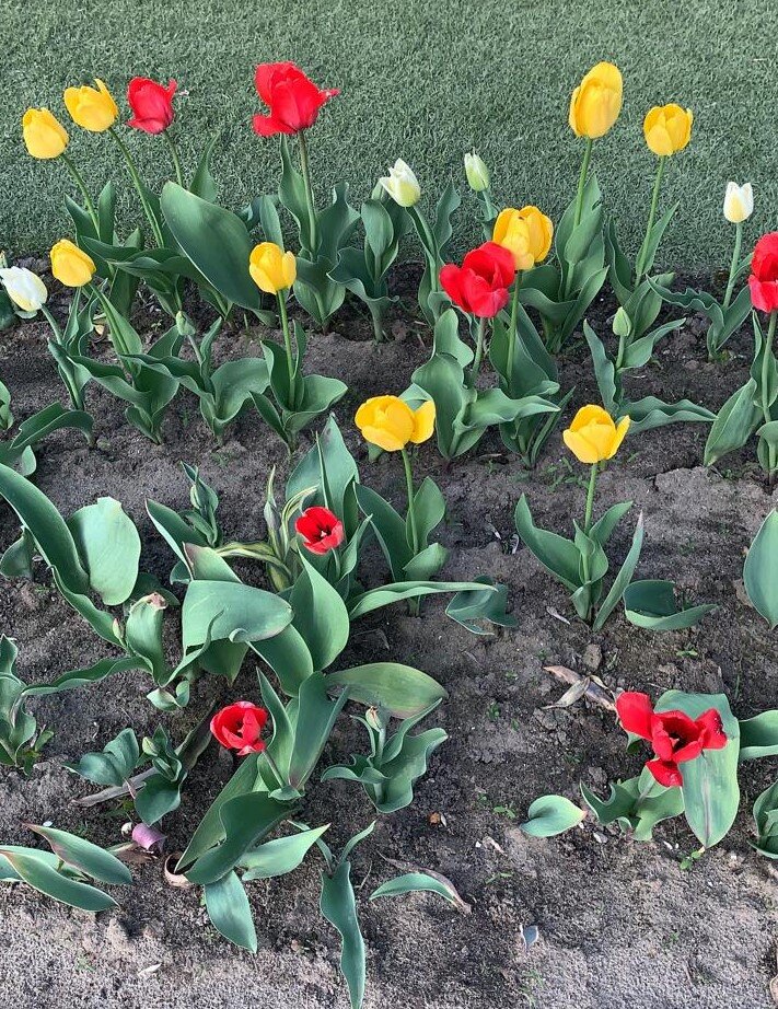 Посмотрите какие были красавцы!