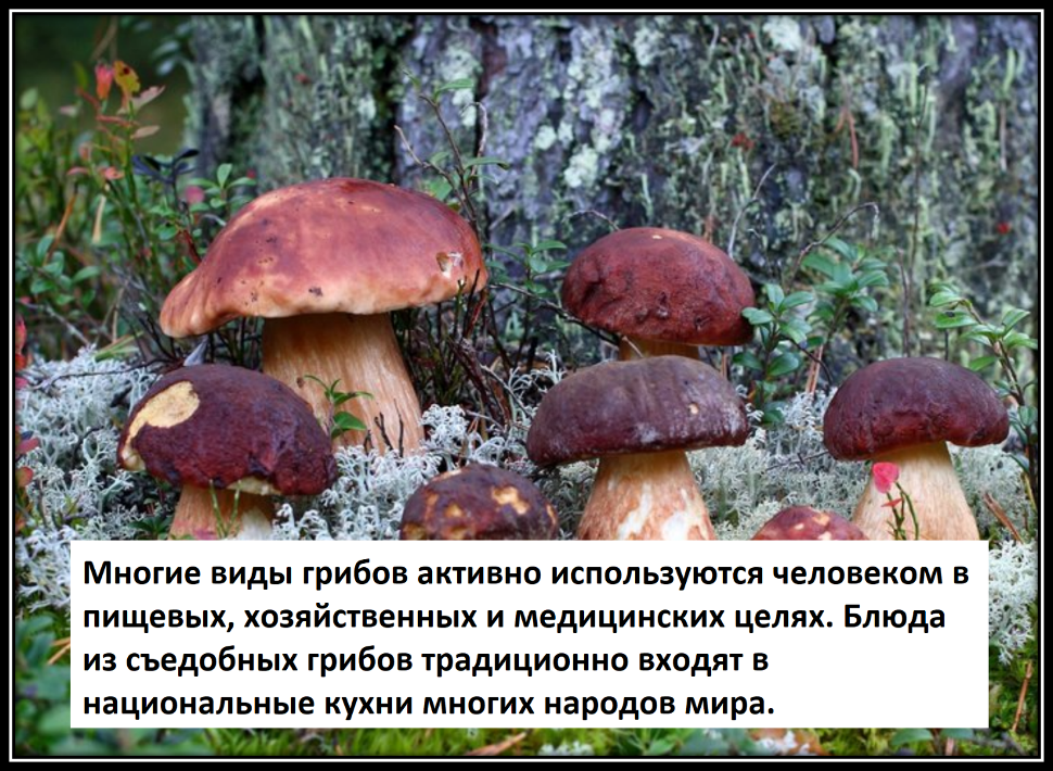 Редактировать галерею


