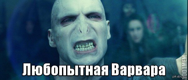 А как вы представляли любопытную Варвару?😂 (Фото из интернета)