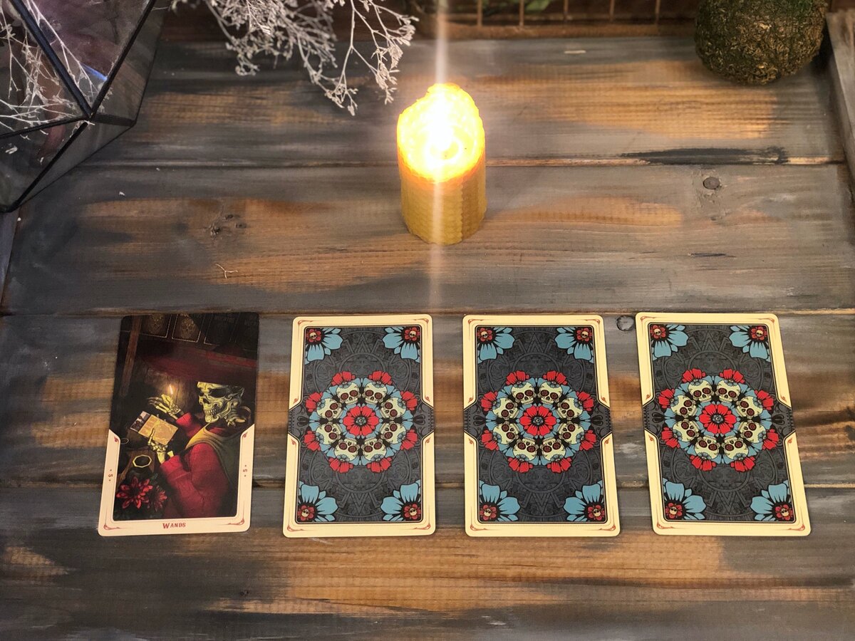 ФОТО КРОЛИЧЬЯ НОРА