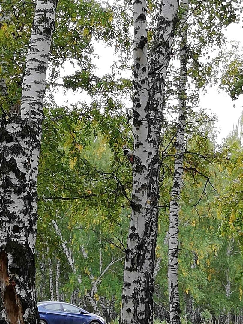 Наши фотографии из архива