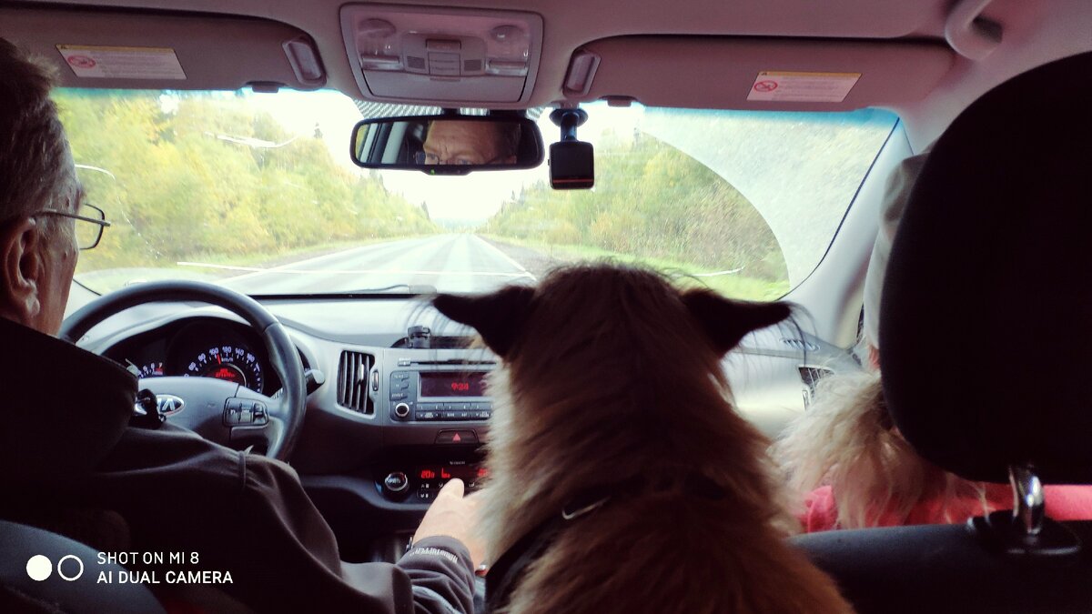 конечно , штурманом был я. 