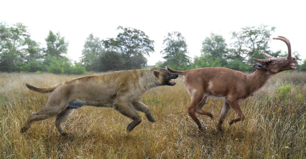 Постойте! У вас будет время поговорить о Владыке нашем, Медоеде?