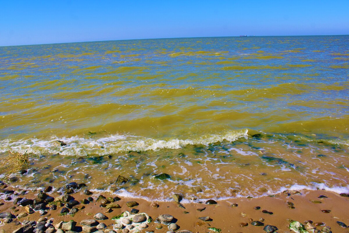 Море Ейск Каменка. Азовское море Ейск. Азовское море пляж Каменка. Ейск пляж.