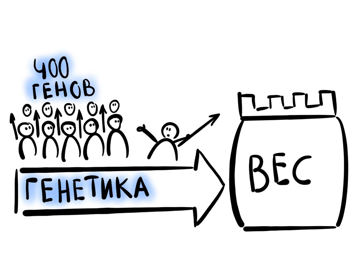 Взаимодействие между генетикой и окружающей средой