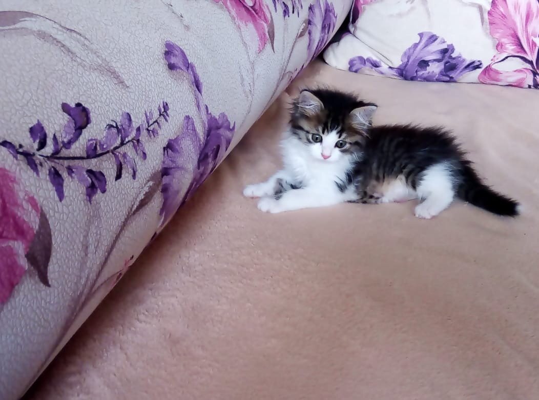 Наша Масенька