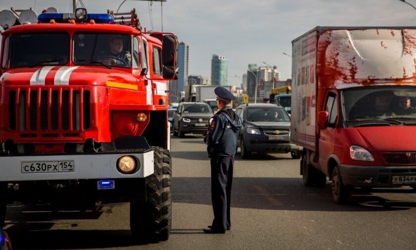 Источник изображения: ngs.ru